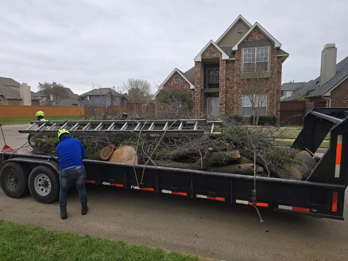 Expert Tree Fertilization with proper safety equipment in Eldena